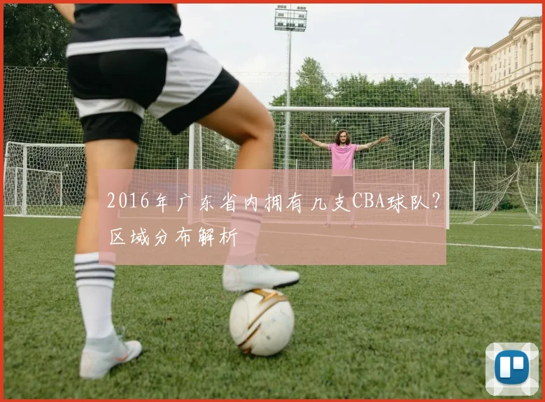 2016年广东省内拥有几支CBA球队？区域分布解析